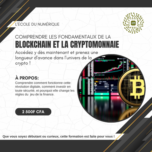 Comprendre les fondamentaux de la Blockchain et la Cryptomonnaie